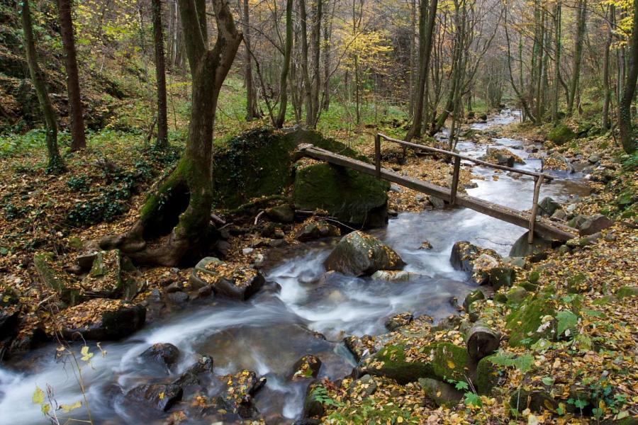 Ruska Koca Hotel Hočko Pohorje Exterior foto